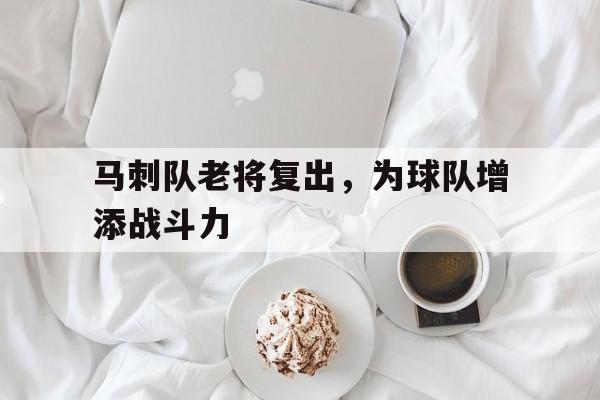 马刺队老将复出，为球队增添战斗力